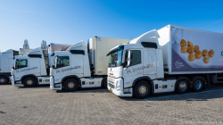 20260321-Daemen-00361